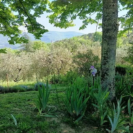 Hillside Semi-detached With Panoramic Views Dom wakacyjny *