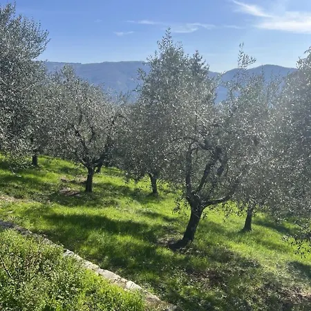 Tatil Evi Hillside Semi-detached With Panoramic Views Schignano (Prato)