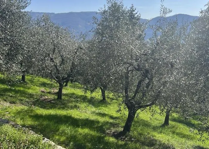 Nyaraló Hillside Semi-detached With Panoramic Views Schignano